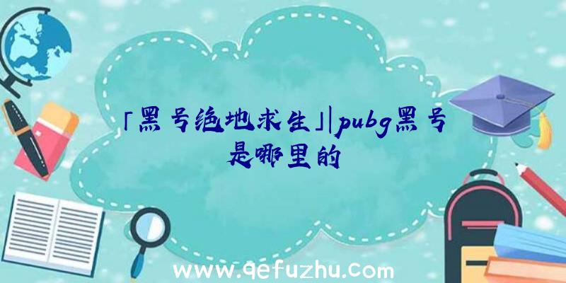 「黑号绝地求生」|pubg黑号是哪里的